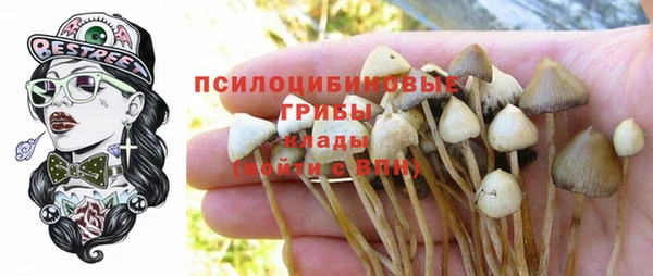 герыч Алзамай